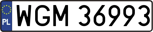 WGM36993