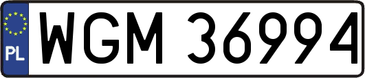 WGM36994