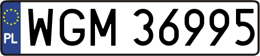 WGM36995
