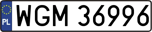 WGM36996