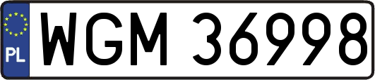 WGM36998