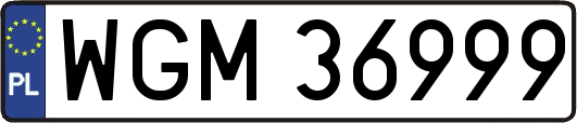 WGM36999