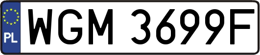 WGM3699F
