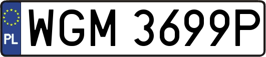 WGM3699P