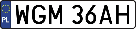 WGM36AH