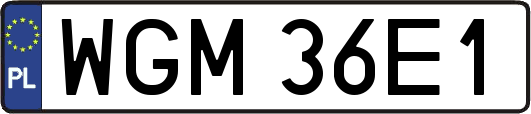 WGM36E1
