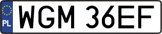 WGM36EF