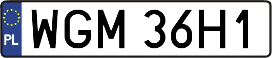 WGM36H1