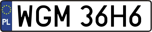 WGM36H6