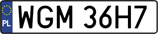 WGM36H7