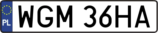 WGM36HA