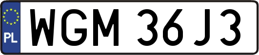 WGM36J3