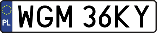 WGM36KY