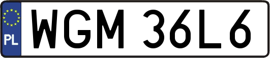 WGM36L6