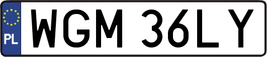 WGM36LY