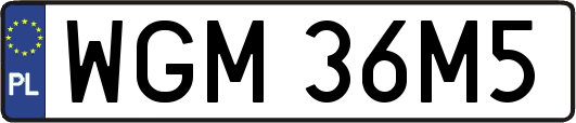WGM36M5