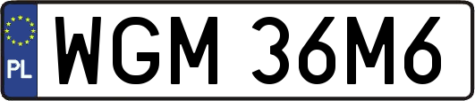 WGM36M6