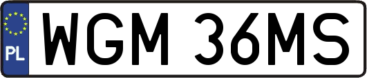 WGM36MS