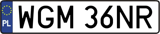 WGM36NR