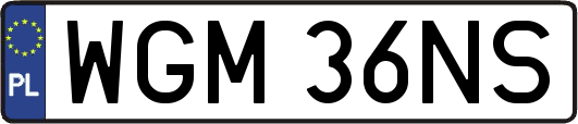 WGM36NS
