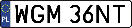 WGM36NT