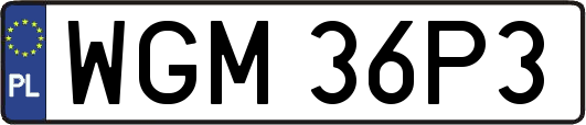 WGM36P3