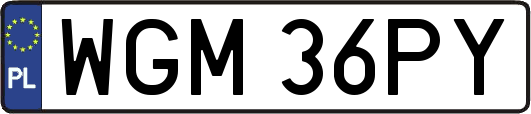 WGM36PY