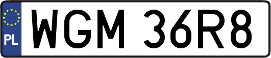 WGM36R8