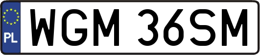 WGM36SM
