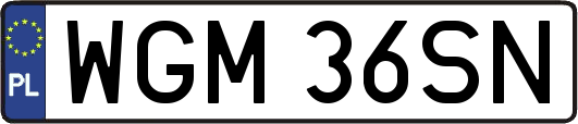 WGM36SN