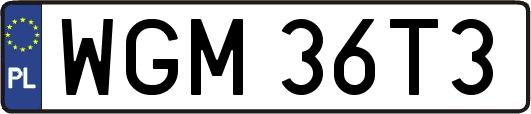 WGM36T3