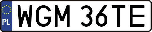 WGM36TE