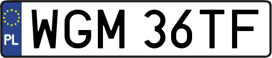 WGM36TF
