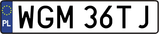 WGM36TJ