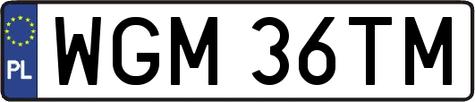 WGM36TM
