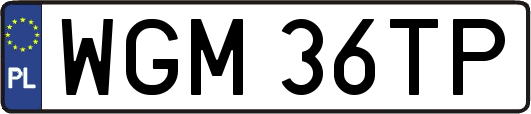 WGM36TP