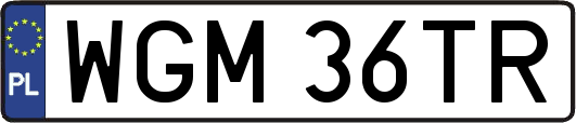 WGM36TR