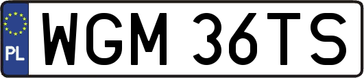 WGM36TS