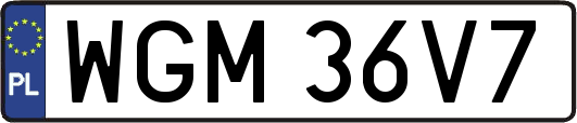 WGM36V7