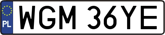 WGM36YE