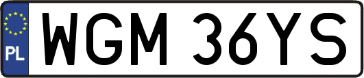 WGM36YS