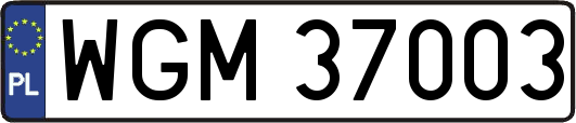 WGM37003