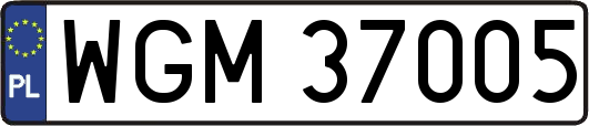 WGM37005