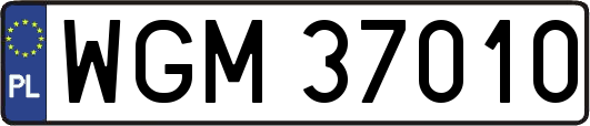 WGM37010