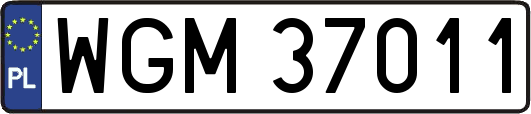 WGM37011