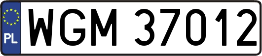 WGM37012