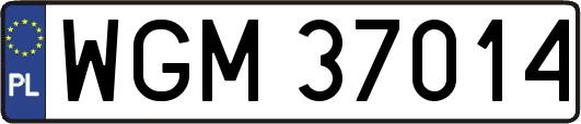 WGM37014