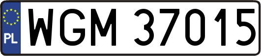 WGM37015
