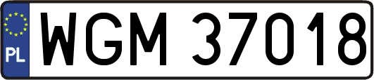 WGM37018