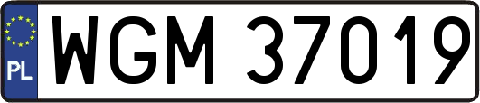 WGM37019